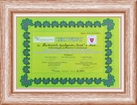 Certyfikaty firmy Sorel